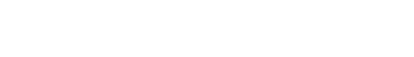files/web-white-logo.png